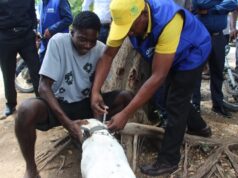 Vaste campagne de vaccination dans 17 communes : le MARNDR veut briser la chaîne de transmission de la rage canine en Haïti