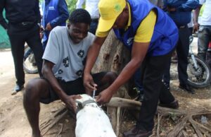 Vaste campagne de vaccination dans 17 communes : le MARNDR veut briser la chaîne de transmission de la rage canine en Haïti