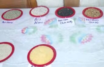 Eating better to live better: The call of students from ENS