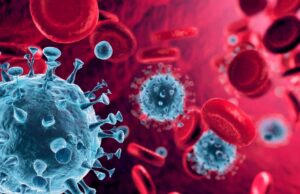 Après la dengue et le chikungunya, Haïti confrontée au virus Oropouche