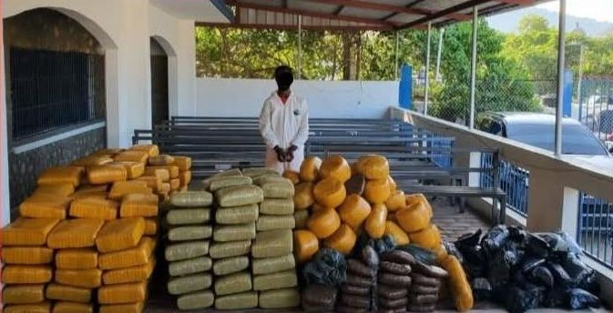 La garde côtière Américaine saisit 1,3 tonne de marijuana dans les eaux Haïtiennes