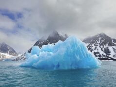 Trump démantèle la surveillance des océans : un signal alarmant pour la recherche climatique mondiale
