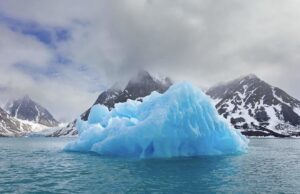 Trump démantèle la surveillance des océans : un signal alarmant pour la recherche climatique mondiale