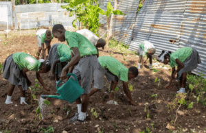 5 juin : une journée pour l’environnement, une alerte pour Haïti